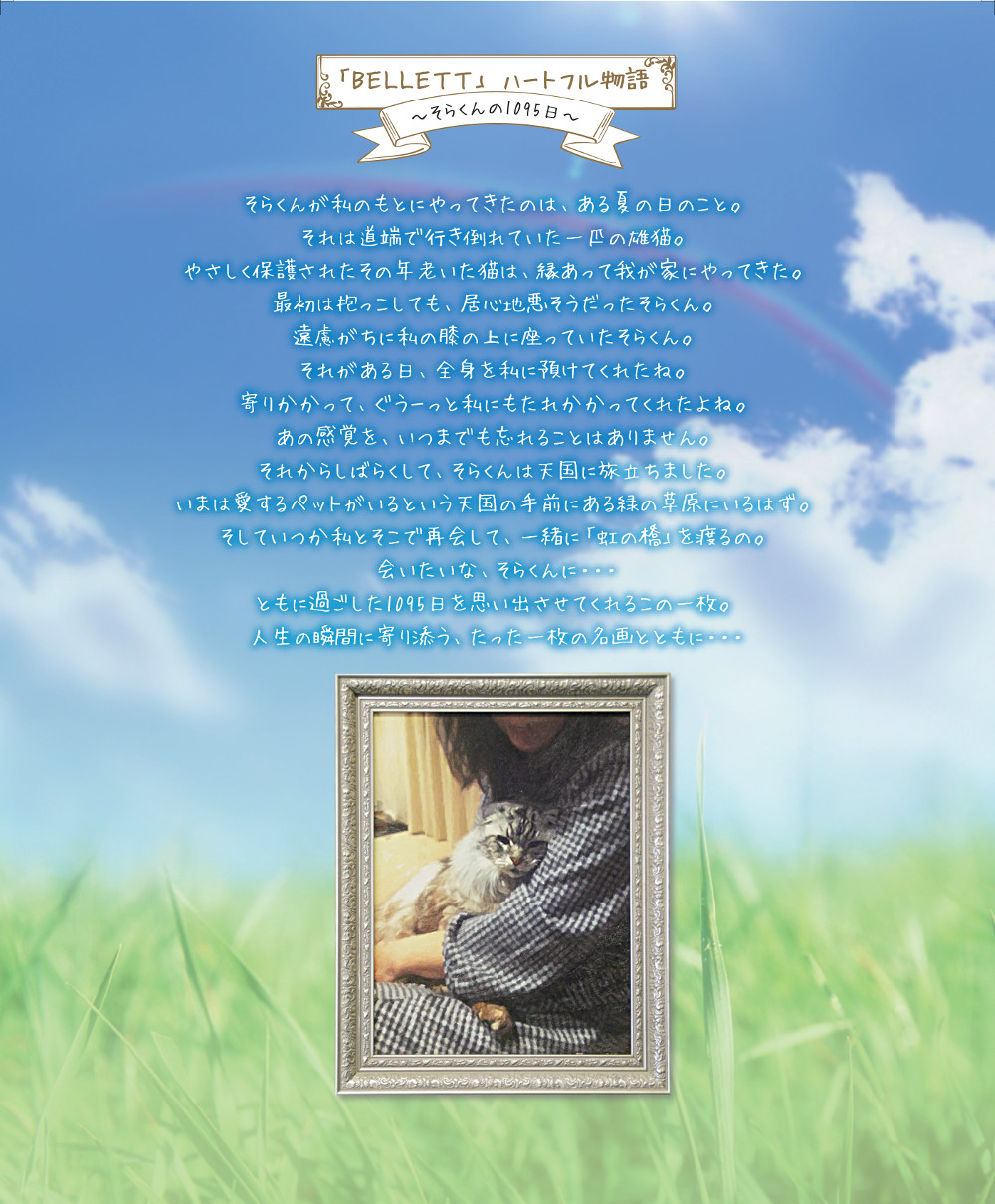 ハートフル物語　猫